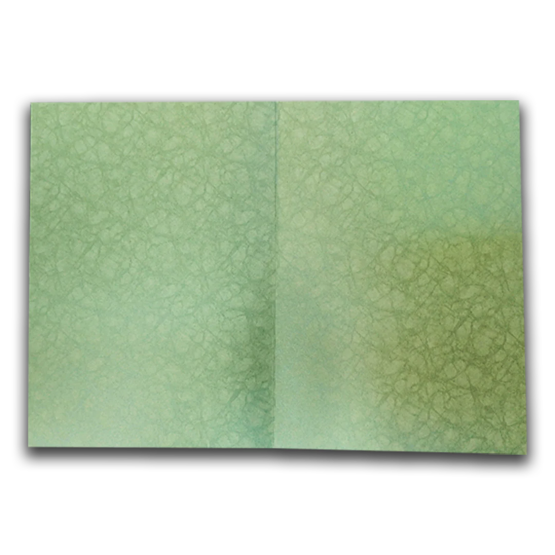 Green Elephant Baraat Wedding Card-KNKR039LG - Image 5